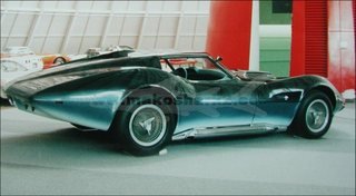 The Manta Ray